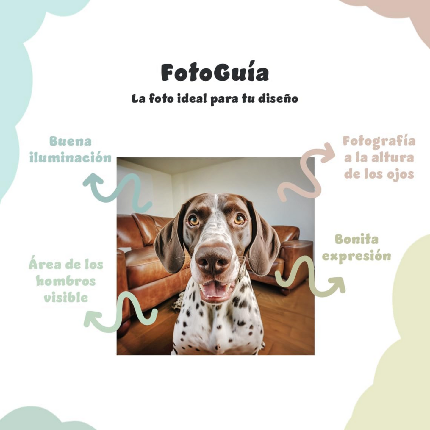 Retratos Personalizados de Mascotas